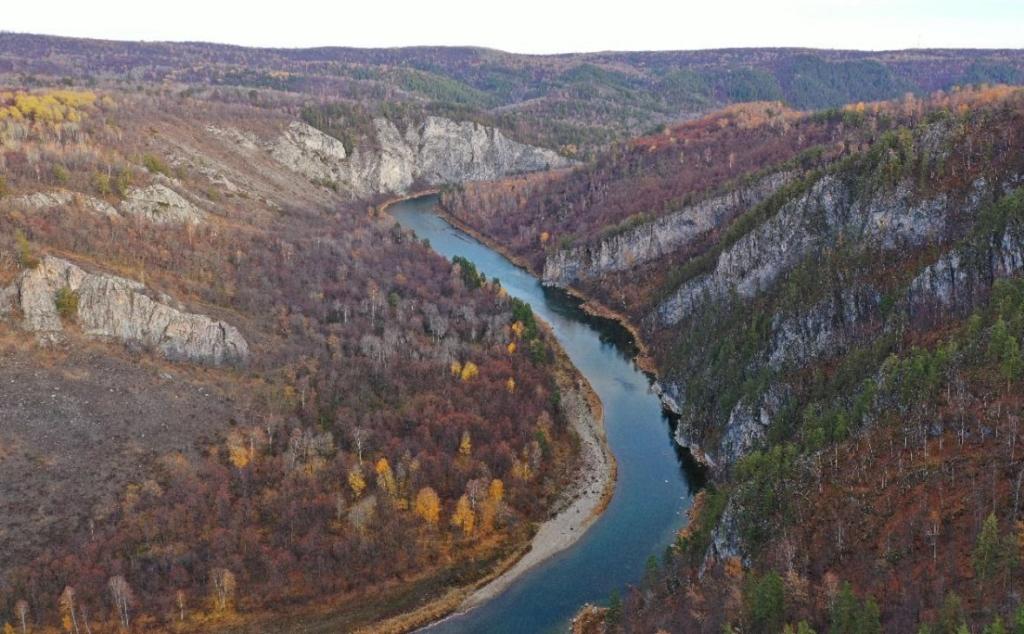 Пять проектов Башкирии получат первые гранты Президентского фонда природы