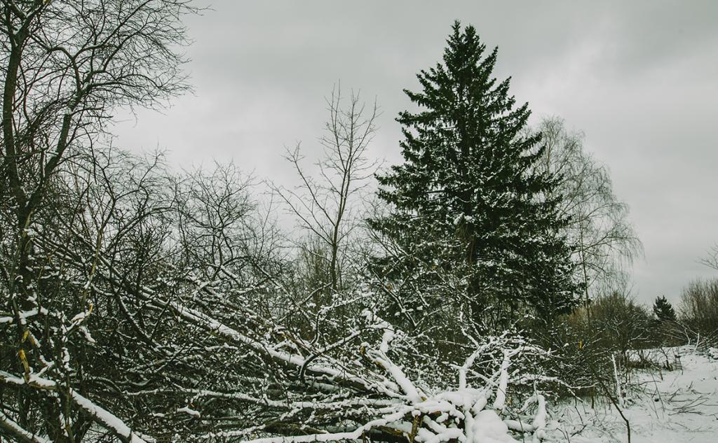 Мороз и очень сильный ветер ожидаются в Башкирии