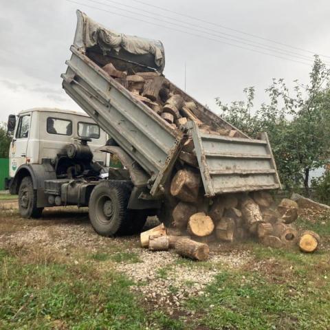 В Уфе семье мобилизованного помогут заготовить дрова