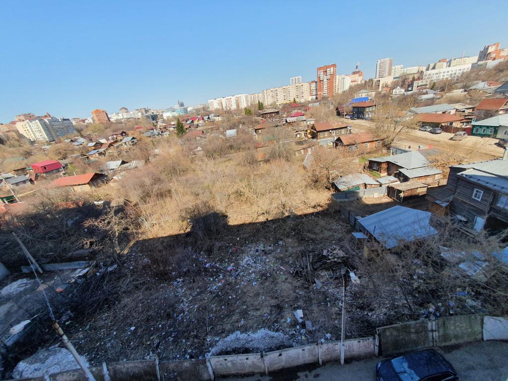 Уфимцы нашли на придомовой территории труп собаки