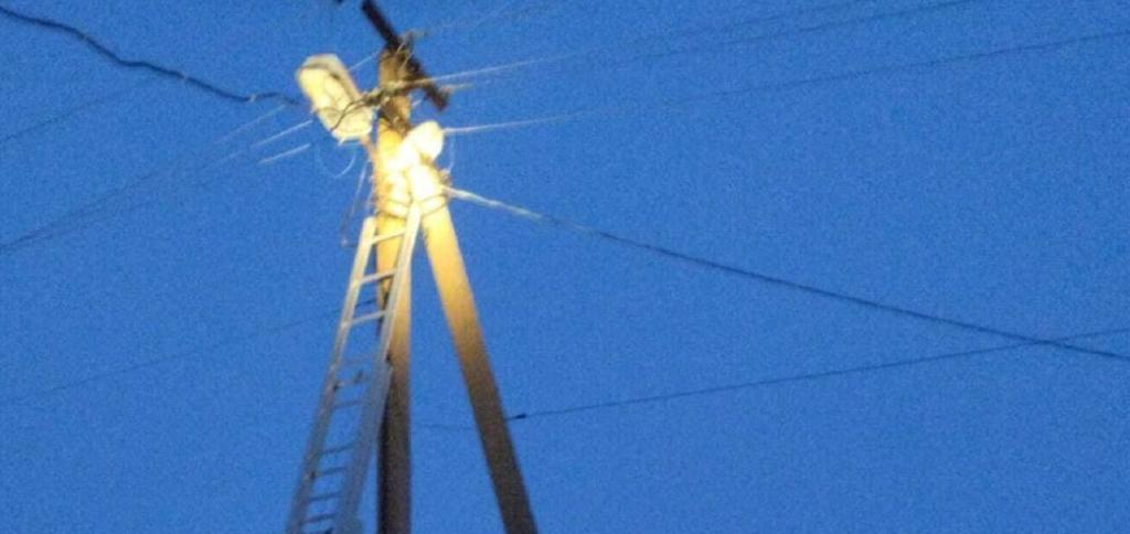 Спасатели в Башкирии сняли кошку с электрического столба