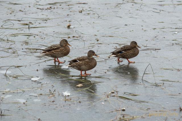 В Башкирии на выходных похолодает до -13°