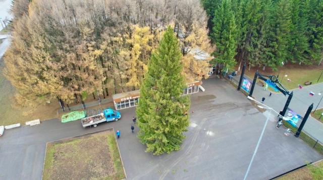 В Уфе установили первую новогоднюю елку