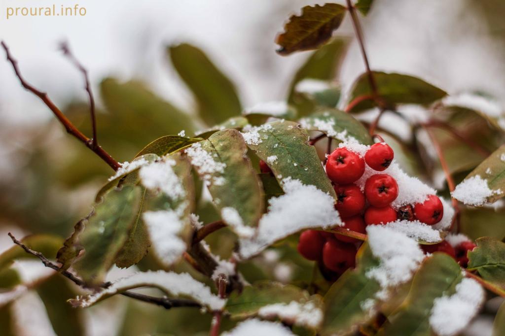 В Башкирии температура опустится до -6°