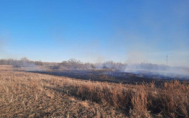 МЧС сообщил об увеличении числа природных пожаров в Башкирии