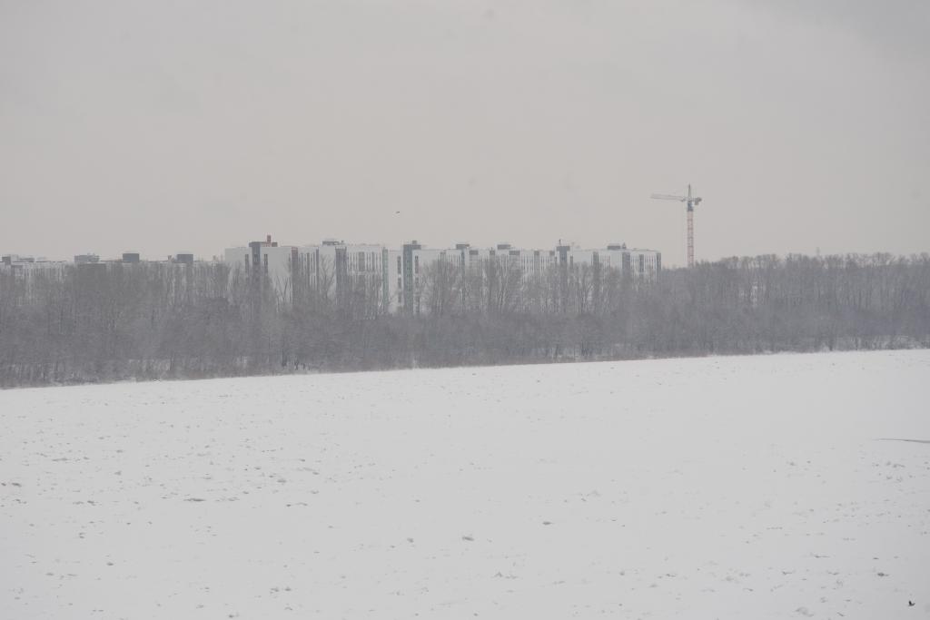 В Башкирии инвесторам предложили более 40 участков для развития бизнеса