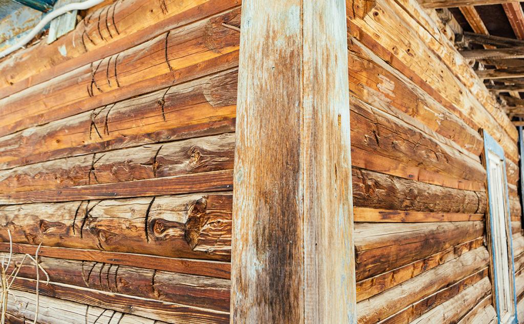 В Башкирии экс-начальник лесхоза незаконно срубил деревьев на 2,4 млн рублей