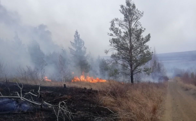Особый противопожарный режим отменили в Башкирии