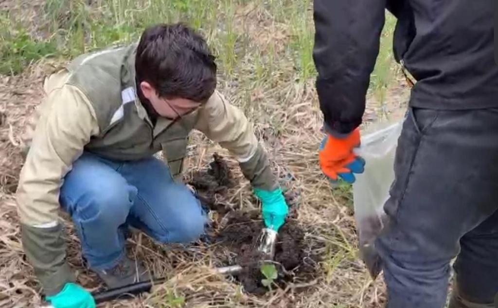 «Такое безобразие»: очистные сооружения под Уфой сбрасывают стоки в торфяники