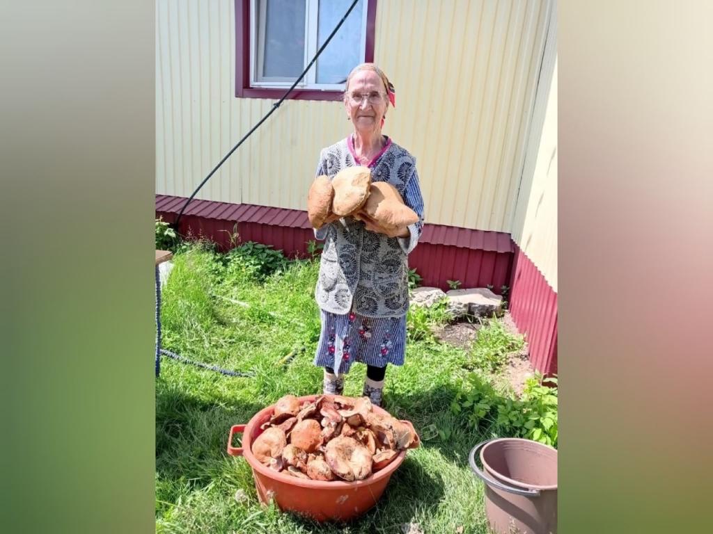 В Башкирии пенсионерка собрала гигантские белые грибы