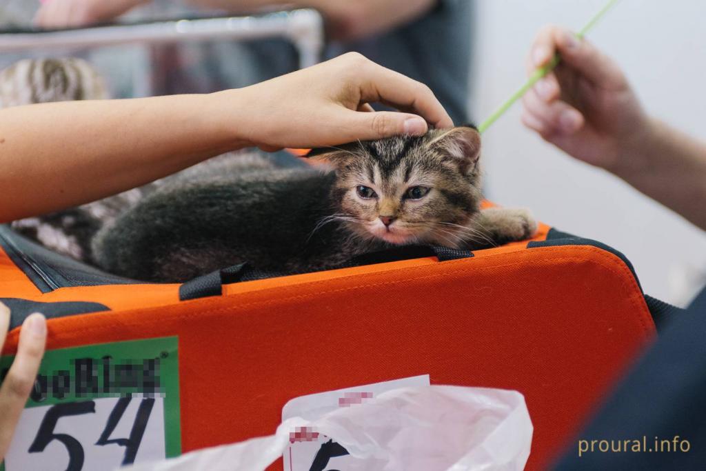 В Башкирском аграрно-технологическом колледже открылись две мастерские по стандартам WorldSkills