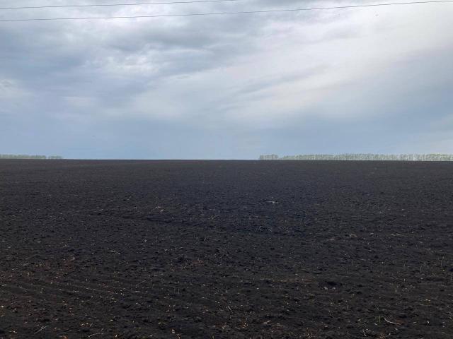 В Башкирии упростят оформление земли для бизнеса с 2026 года