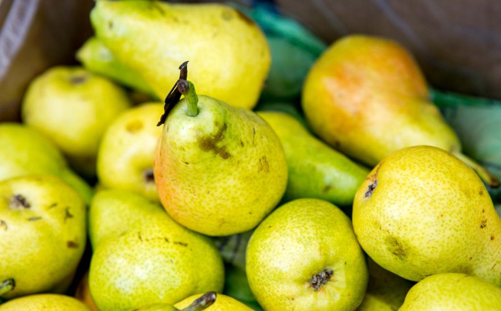 Гигантский склад фруктов и овощей за ₽600 млн хотят построить под Уфой