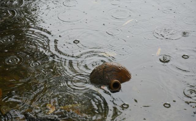 МЧС предупредило о подъеме уровня рек и паводке из-за дождей