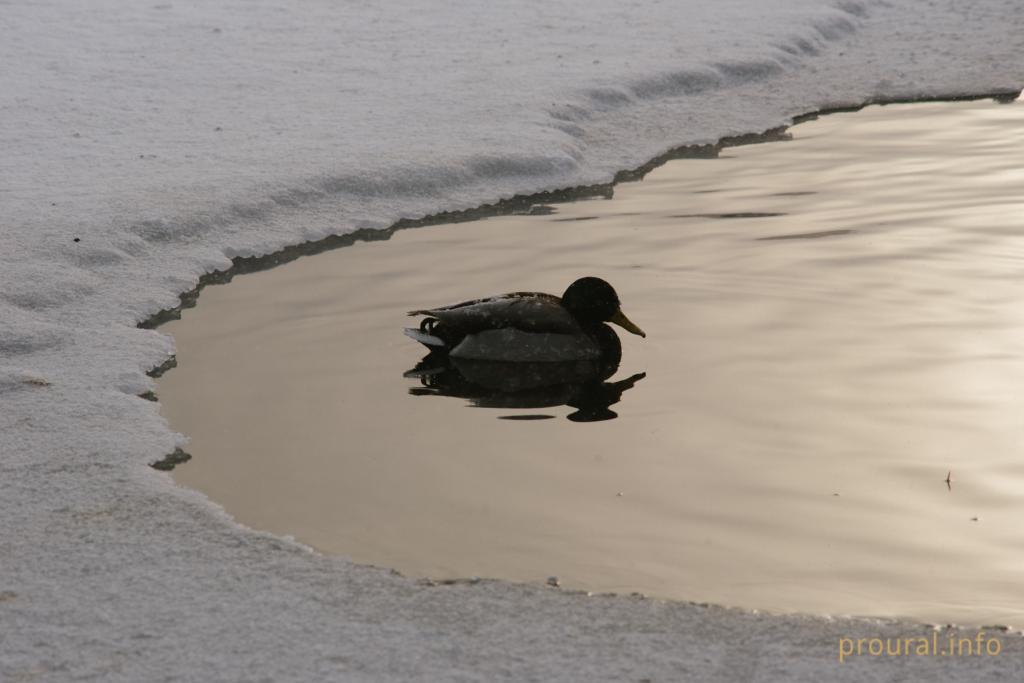 В Башкирию пришли 25-градусные морозы
