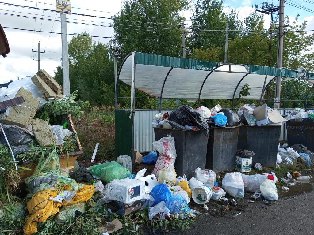 Жители района Башкирии опасаются наплыва крыс