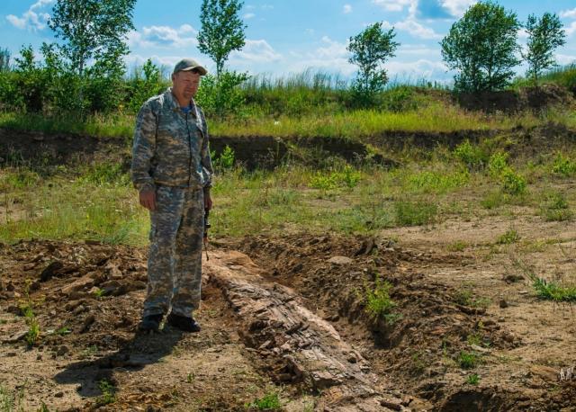 В Башкирии нашли окаменевшее дерево возрастом около 300 млн лет