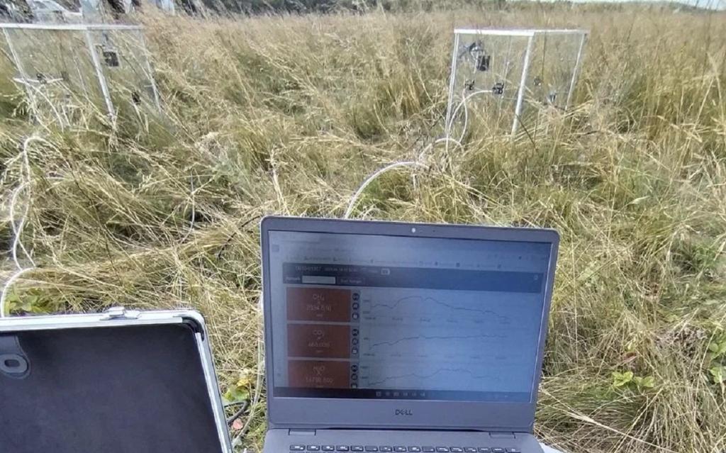 Башкирия планирует торговать углеродными единицами от поглощения парниковых газов