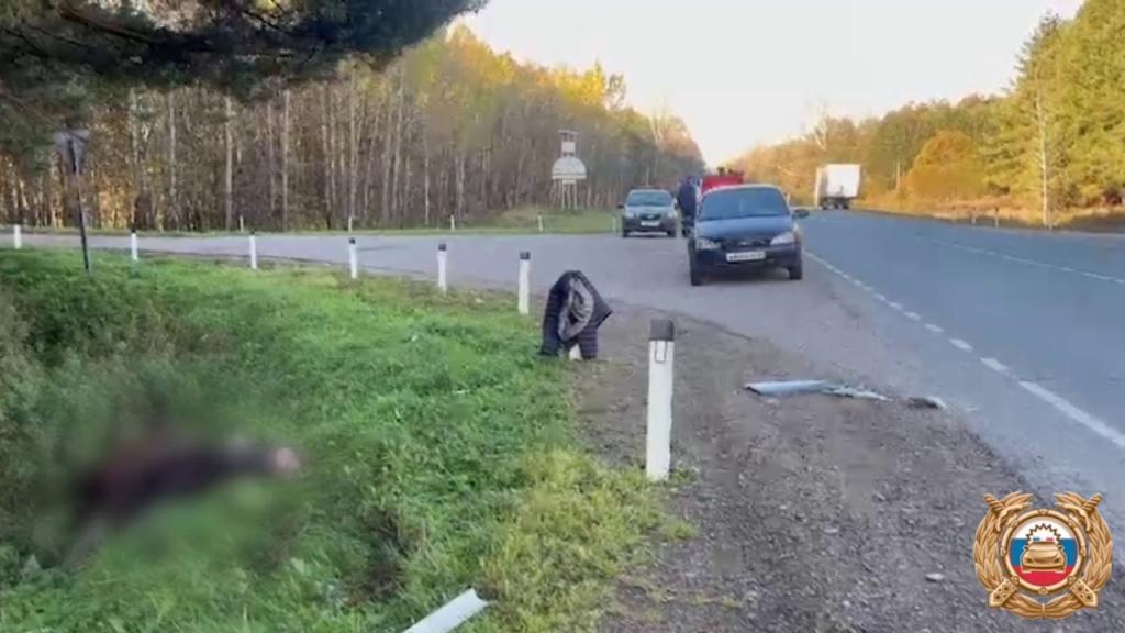 Один человек погиб, трое пострадали в ДТП с лосем в Башкирии