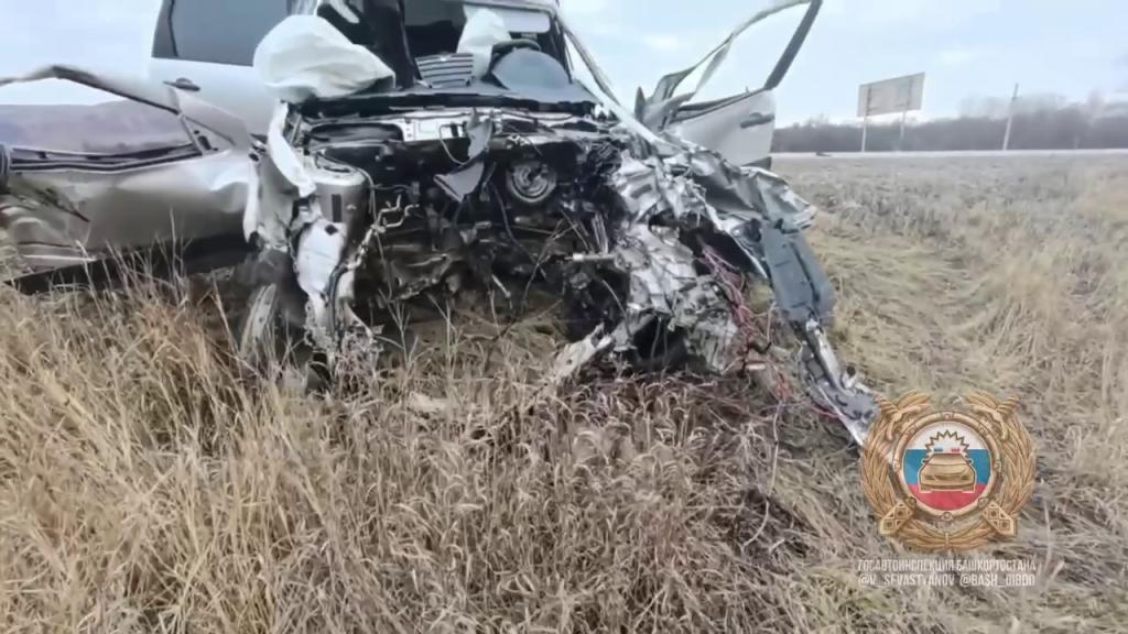 Пенсионер погиб в страшной аварии с большегрузом в Башкирии