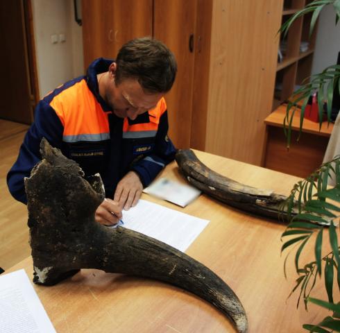 Уфимские спасатели нашли на дне Белой рог бизона и бивень мамонта