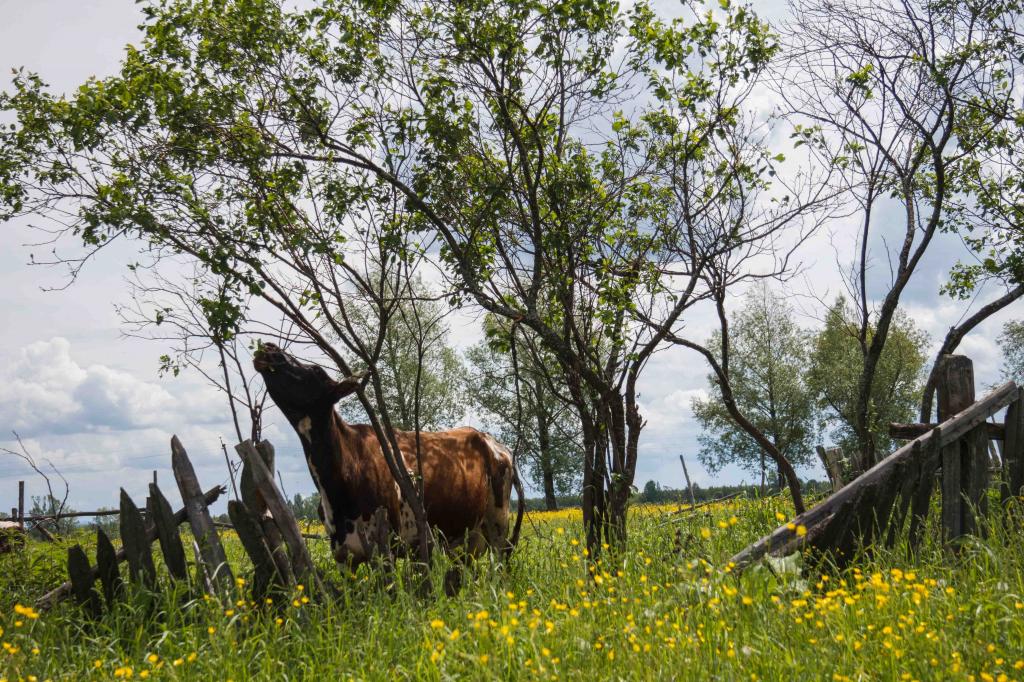 39 начинающих предпринимателей Башкирии прошли отбор на гранты «Агростартап»