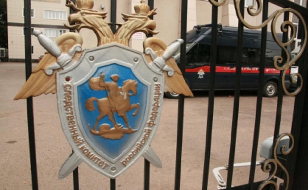 Житель Башкирии погиб возле кладбища из-за спиленного дерева