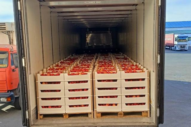 Детям Башкирии привезли 10 тонн фруктов из Крыма