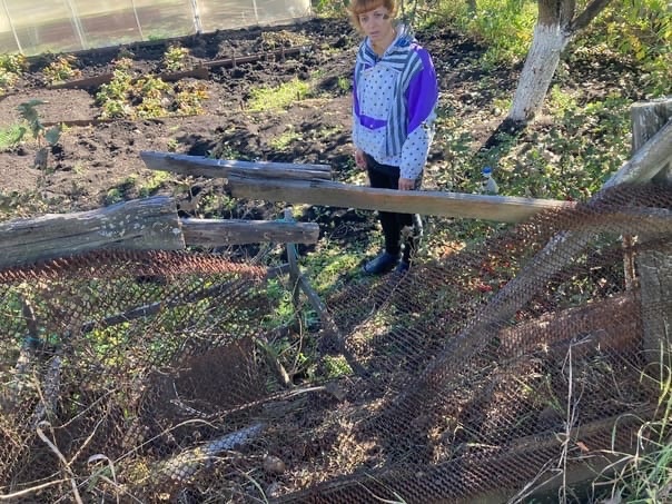 В Белорецком районе медведь на несколько дней поселился на дачном участке