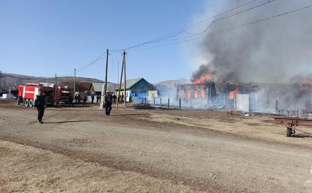 В крупном пожаре в Учалинском районе погибли 18 животных