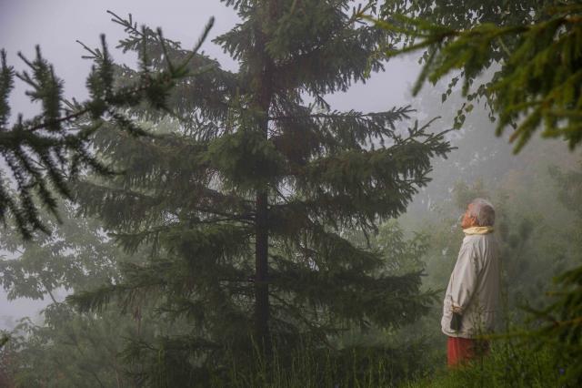 В теплице Аскинского лесхоза посеяли 40 тысяч семян ели и сосны