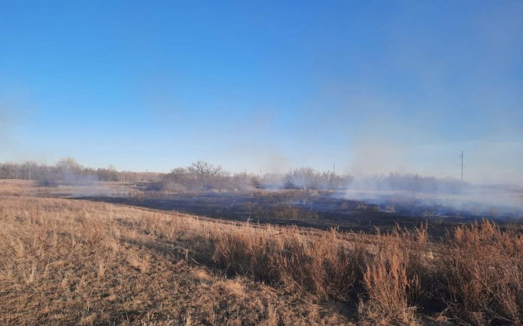 МЧС сообщил об увеличении числа природных пожаров в Башкирии