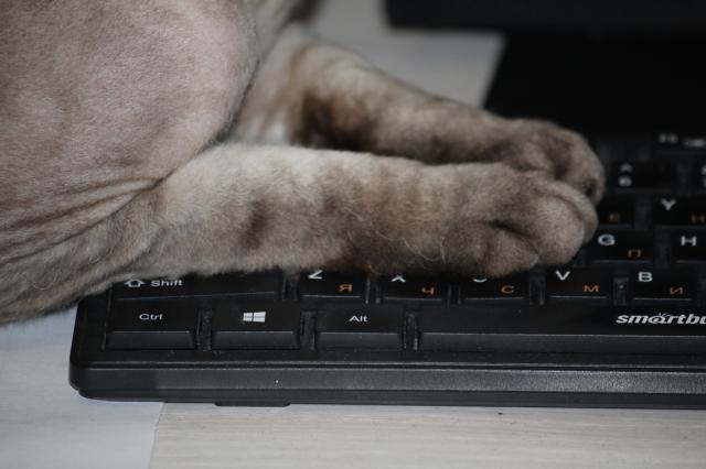 В Уфе спрос на фрилансеров вырос на 78%