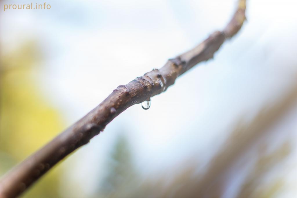 В Башкирии потеплеет до +15 градусов