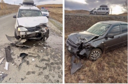 В Башкирии из-за выскочивших на дорогу лошадей произошла серьезная авария