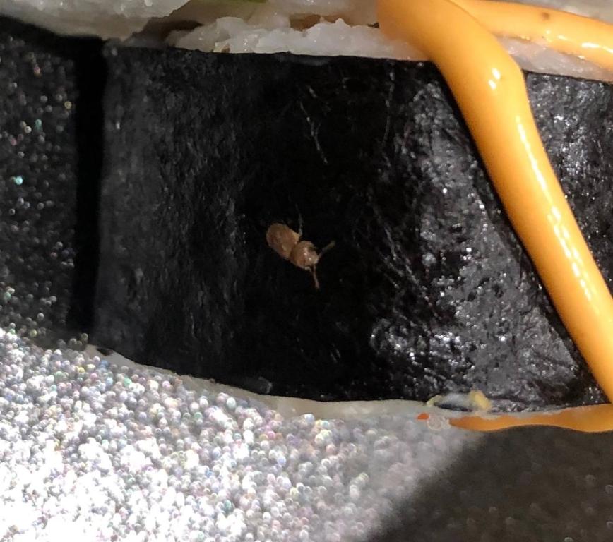 Уфимцу доставили роллы с жуком