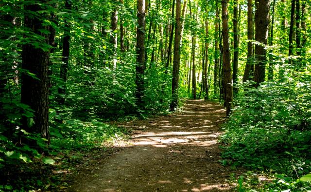 Муниципалитеты в Башкирии предлагают лишить части полномочий