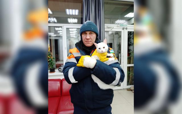 В Уфе сотрудники МЧС спасли застрявшего между зданиями кота