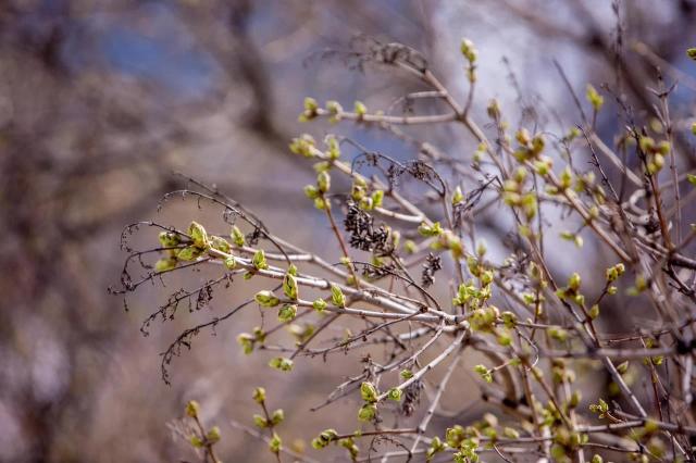 В выходные в Башкирии потеплеет до +23