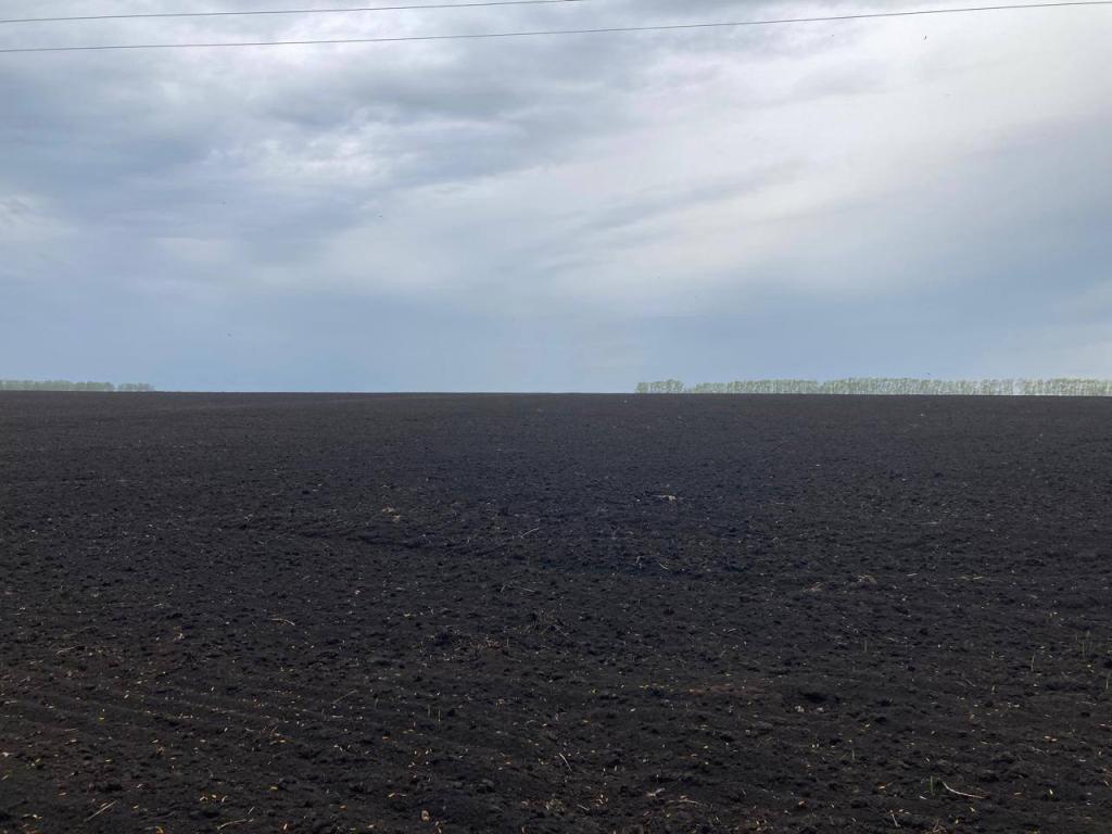 В Башкирии упростят оформление земли для бизнеса с 2026 года