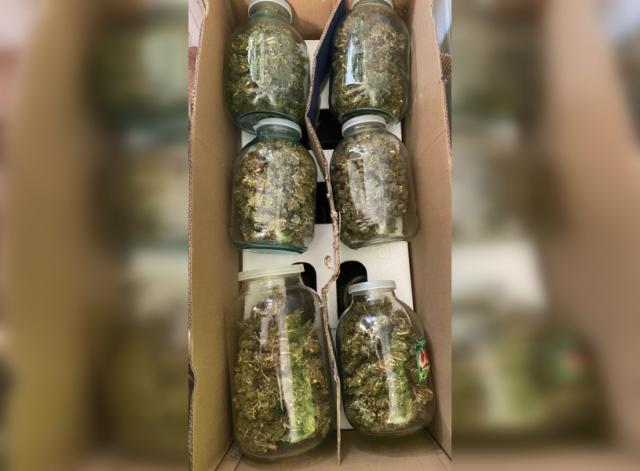 50-летний житель Башкирии сделал из своей квартиры наркооранжерею