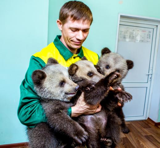 Два сыночка и лапочка-дочка: в уфимском вольере показали медвежат