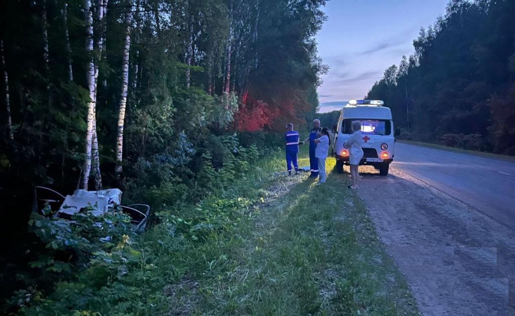 В ДТП с животными в Башкирии с начала года погибли шесть человек