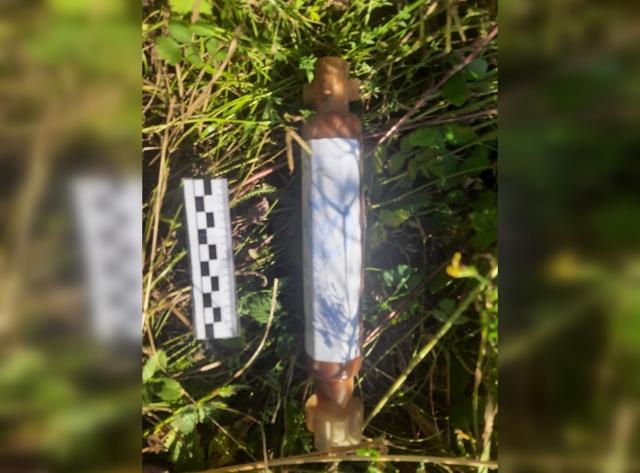 Грибник из Башкирии наткнулся на взрывчатку в лесу