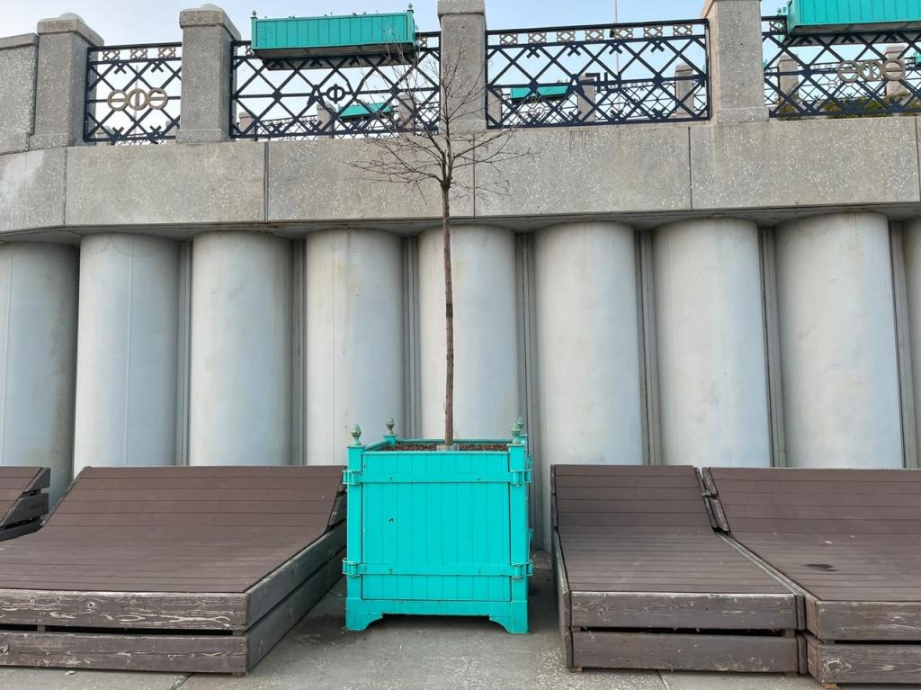 «Мусорки переполнены, кругом паутина, растения умирают»: уфимка обеспокоена состоянием набережной в городе