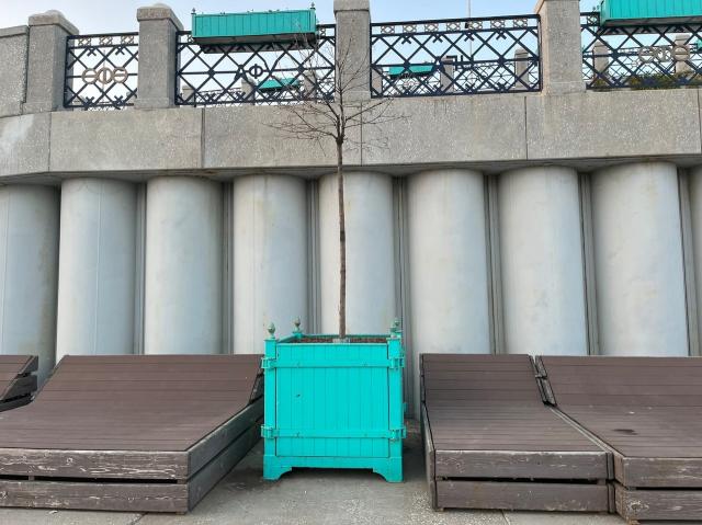 «Мусорки переполнены, кругом паутина, растения умирают»: уфимка обеспокоена состоянием набережной в городе