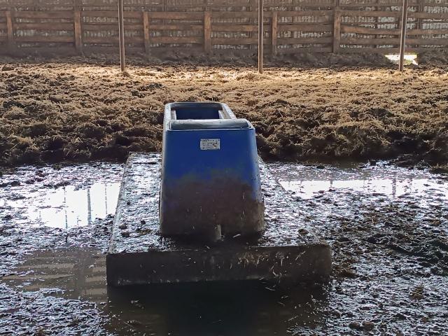 На ферме в Башкирии четверо мужчин отравились неизвестным газом, один погиб