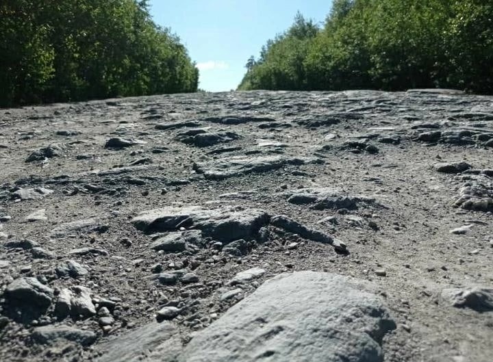 Пост Радия Хабирова, посвященный ремонту дорог, за час набрал более полусотни комментариев