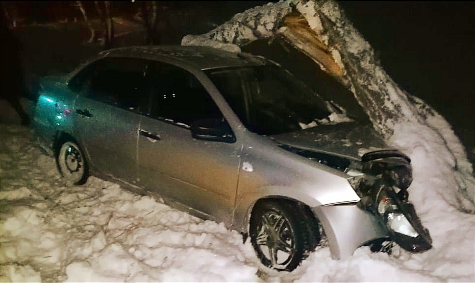 В Башкирии 92-летний водитель без прав протаранил дерево