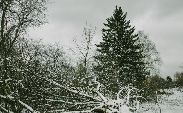 Мороз и очень сильный ветер ожидаются в Башкирии